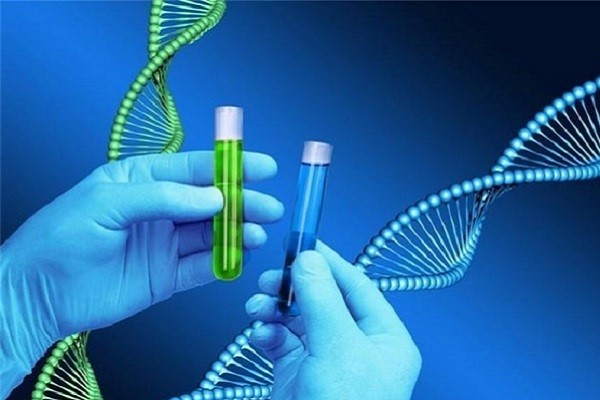 ژن درمانی
gen thrapy